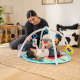 Baby Einstein Розвиваючий килимок "Happy Harvest"