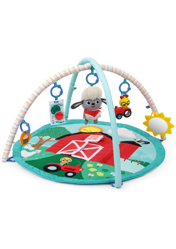Baby Einstein Розвиваючий килимок "Happy Harvest"