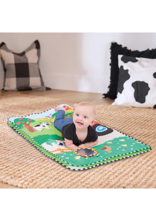 Розвиваючий килимок Baby Einstein 4 в 1 Busy Barnyard