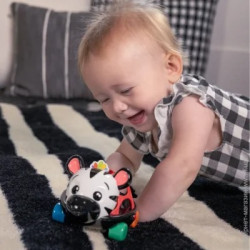 Baby Einstein Іграшка-брязкальце Curious Car Zen