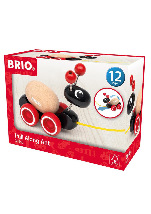 Іграшка-каталка BRIO Мурашка