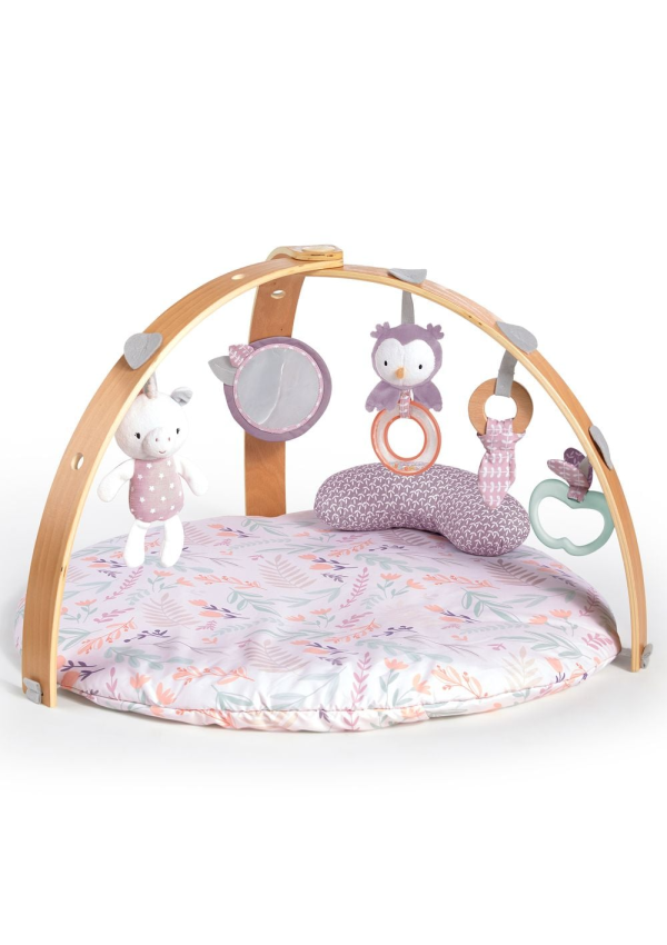Ingenuity Розвиваючий килимок Cozy Spot – Calla