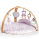 Ingenuity Розвиваючий килимок Cozy Spot – Calla