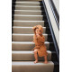Халат Jollein 1-2 year, карамельний