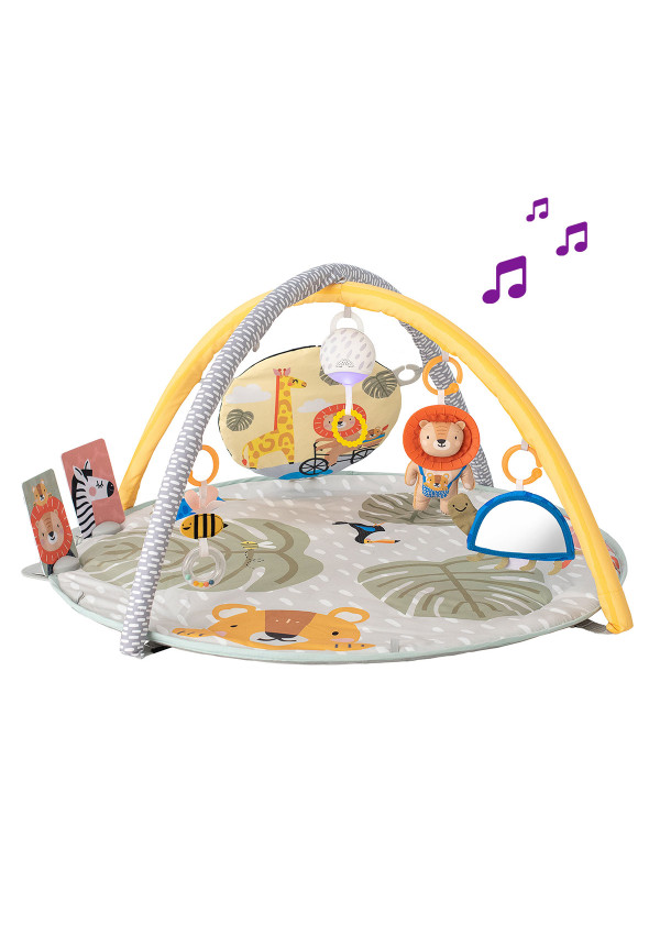 Розвиваючий музичний килимок з дугами - Пригоди на 360° Taf Toys