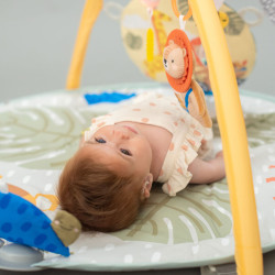 Розвиваючий музичний килимок з дугами - Пригоди на 360° Taf Toys