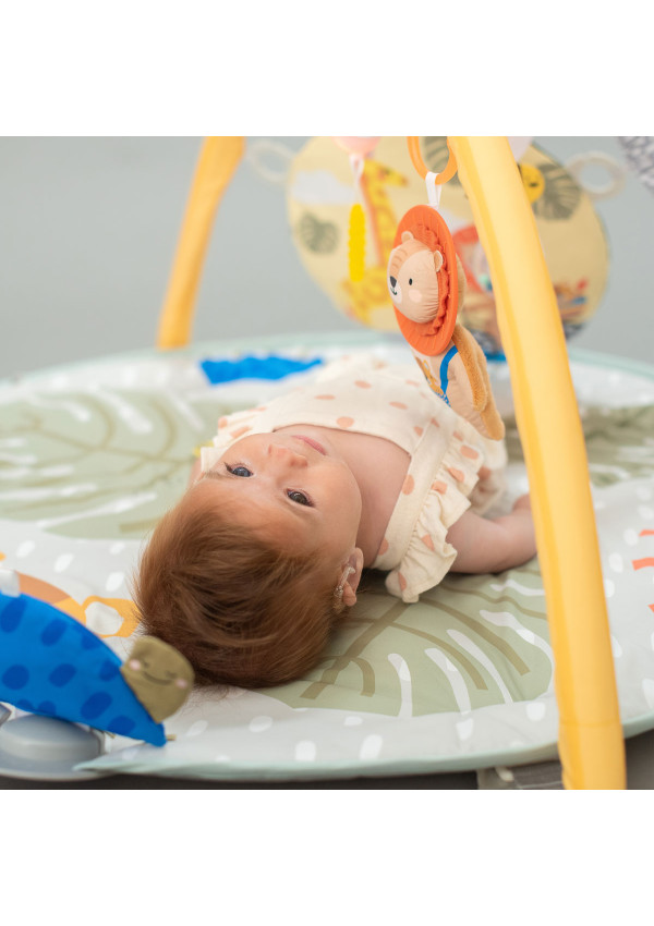 Розвиваючий музичний килимок з дугами - Пригоди на 360° Taf Toys